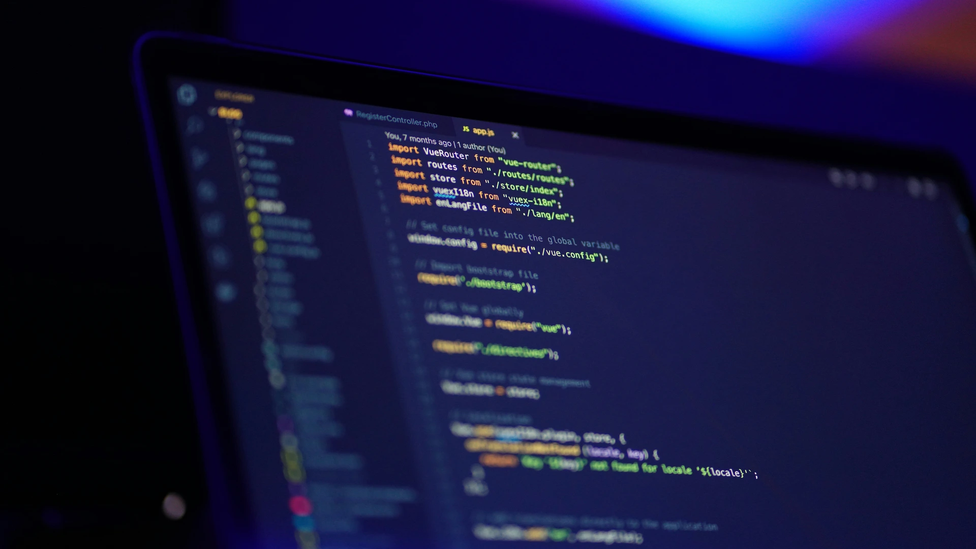WordPress Development overview details