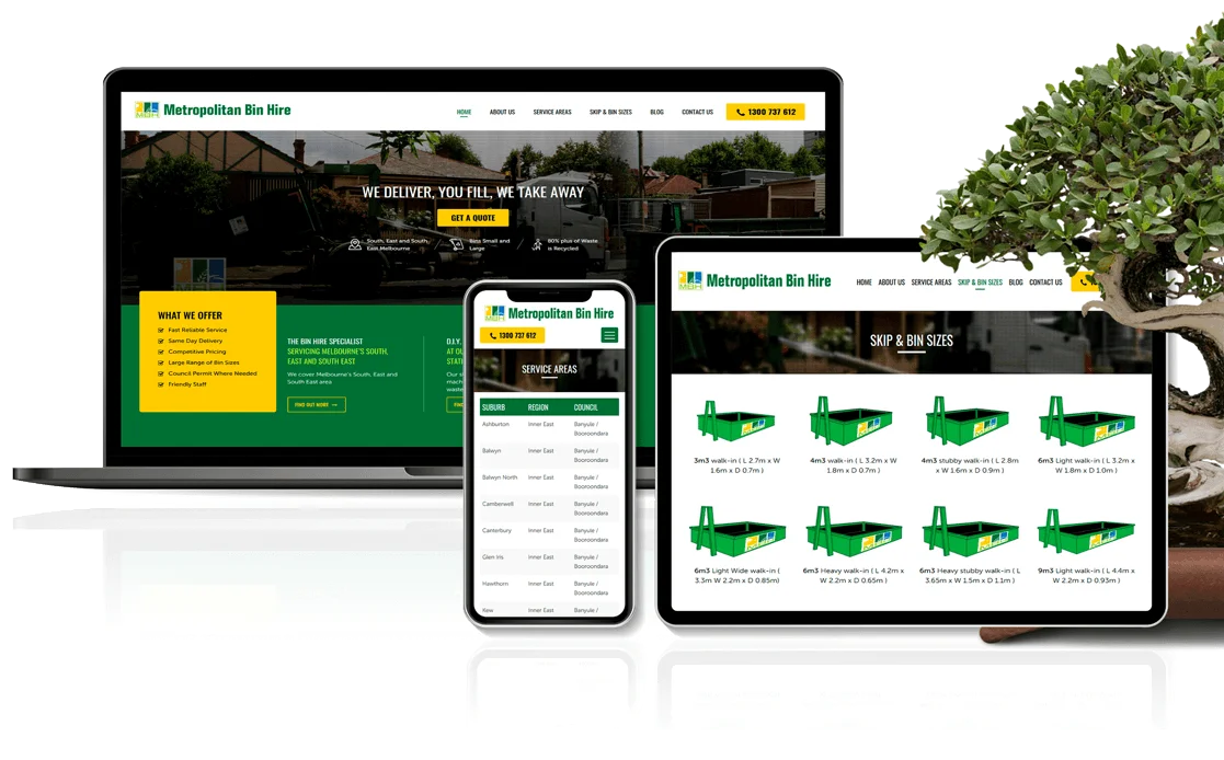 Website Development overview details